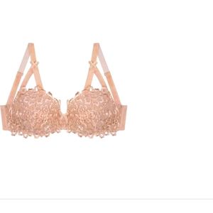 Dita Von Teese Full Figure Lace Bra